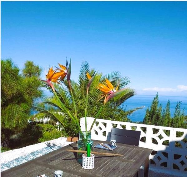 Zen Republic, private outdoor jacuzzi&pool with stunning ocean views Villa Puntillo Del Sol Exterior foto